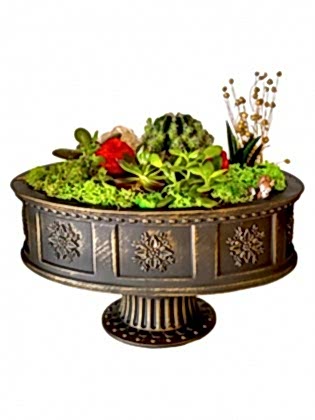 Açık Bahçe - Teraryum