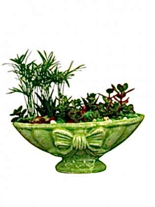 Green World - Teraryum