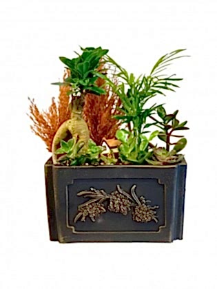 Nakış Sandık Bonsai Bahçe - Teraryum