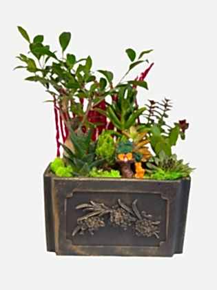 Bonsai Garden - Teraryum