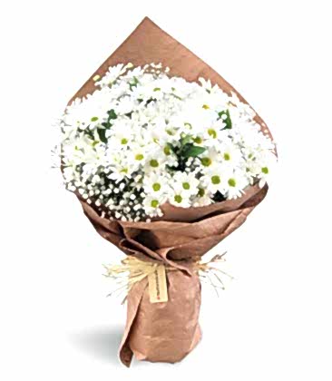 Kucak Dolusu Papatya 