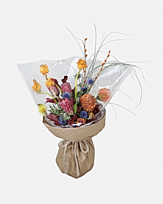 Protea & Pincushion Alevi